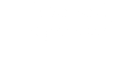 "The best experience"